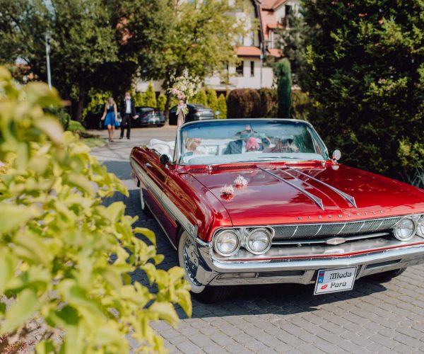 Ola and Mariusz’s Wedding